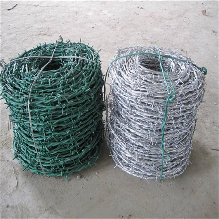 西藏刺鐵絲防護(hù)網(wǎng)